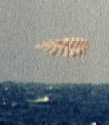 Splashdown of MA-9